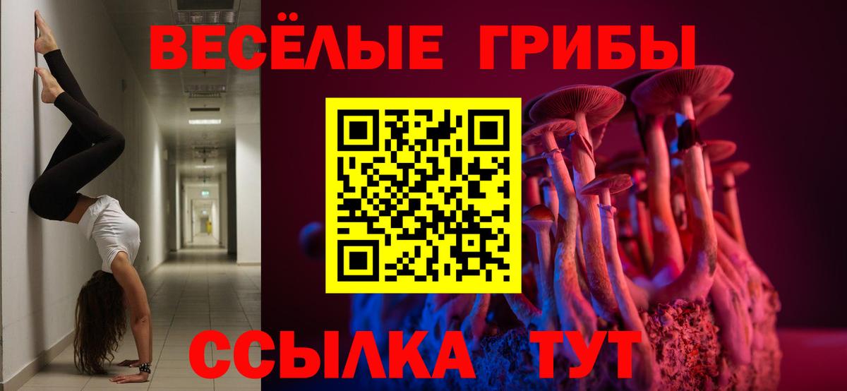Гусь-Хрустальный  Псилоцибиновые грибы Cubensis  Вход с VPN  Псилоцибиновые грибы GOLDEN TEACHER 