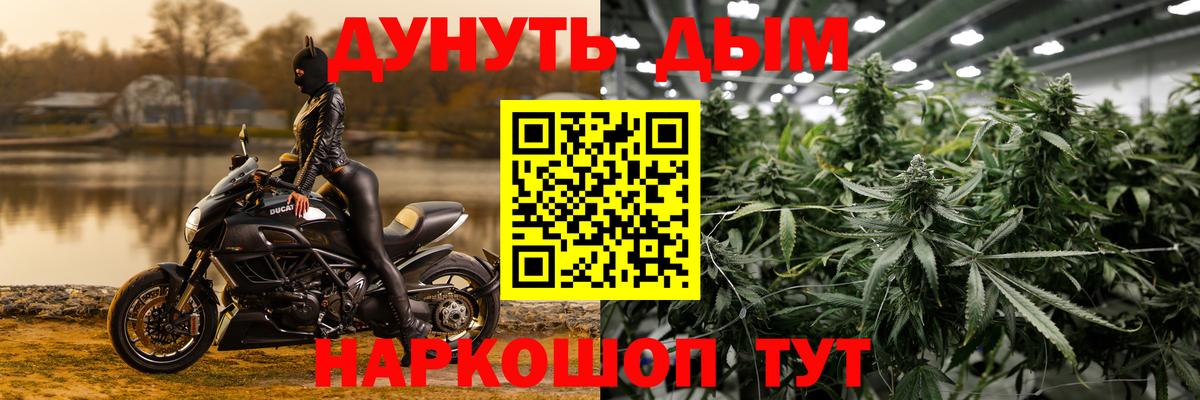 Бошки Шишки Bruce Banner  Канабис тримм  Вход с VPN  Гусь-Хрустальный  Марихуана ГИДРОПОН  Канабис VHQ 